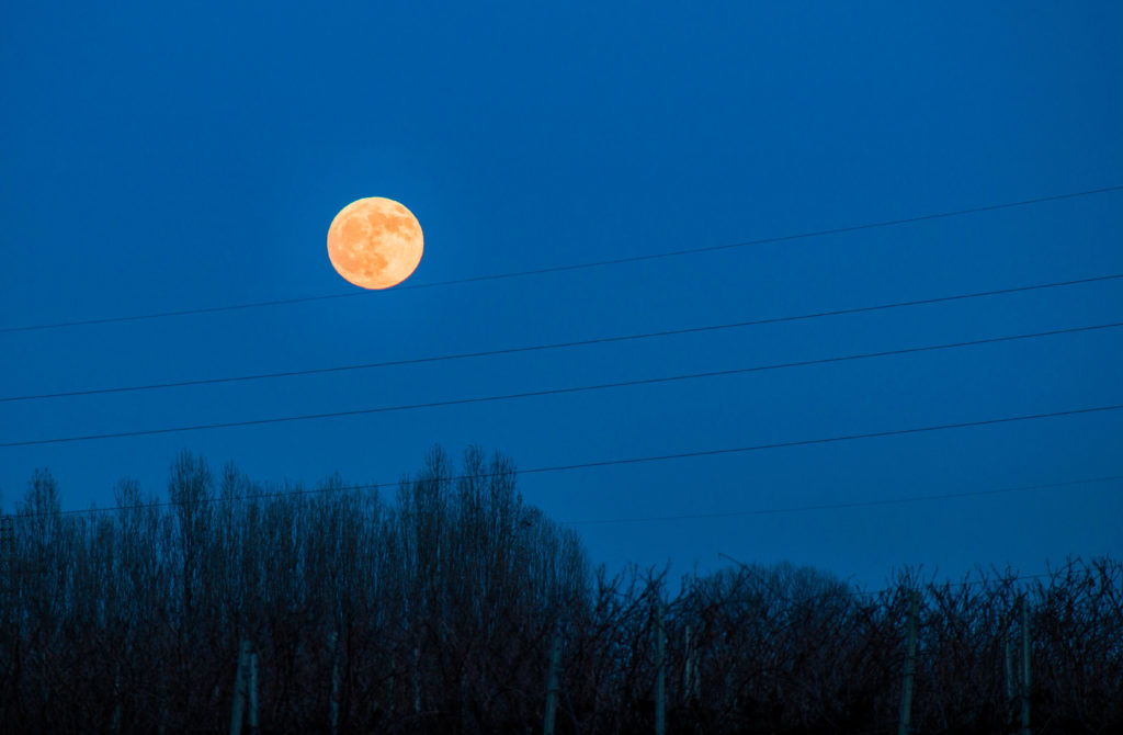 La luna sul filo